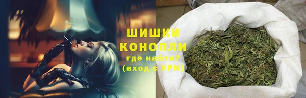 сатива Бронницы