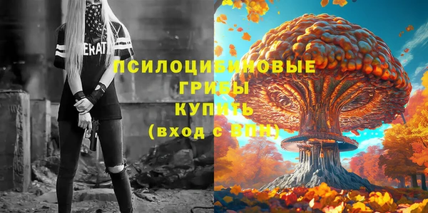 прущий лед Бородино