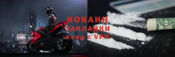 прущий лед Бородино
