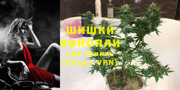 сатива Бронницы