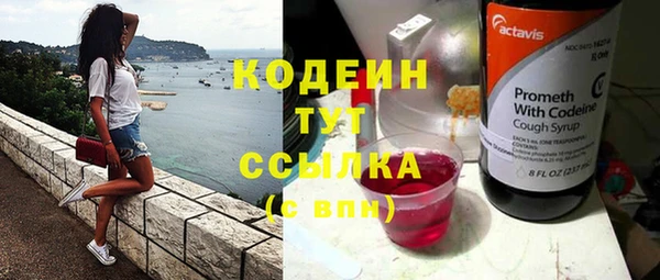 сатива Бронницы