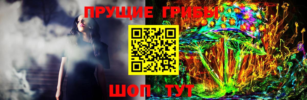 Галлюциногенные грибы Psilocybe Выборг